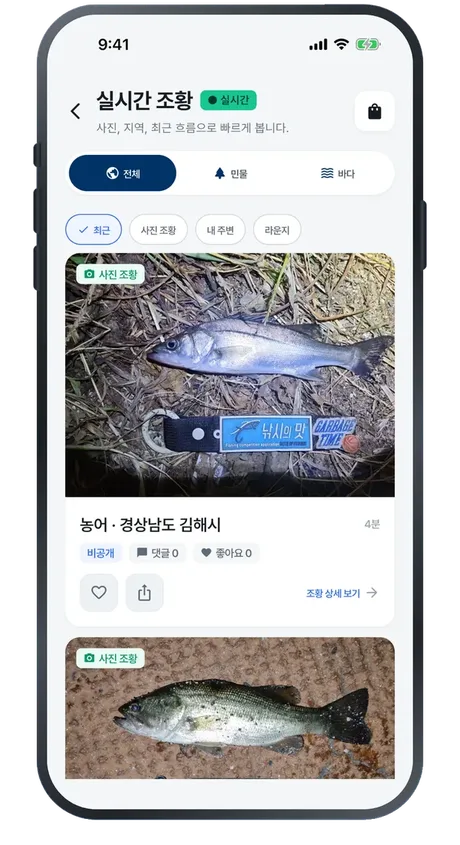 Live catch report feed screen